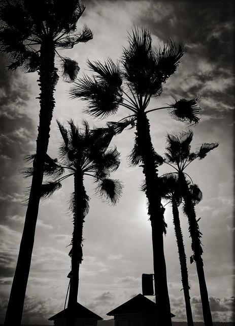 CORONADO ISLAND, CALIFORNIA