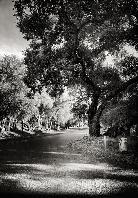 OJAI, CALIFORNIA