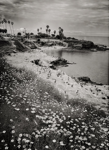 LA JOLLA, CALIFORNIA
