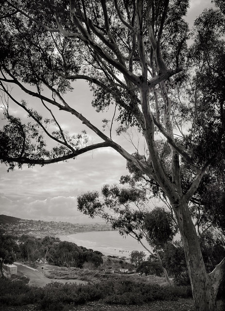 LA JOLLA, CALIFORNIA