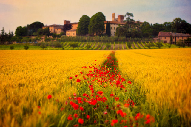Tuscany Dreamland Hi Res.jpg