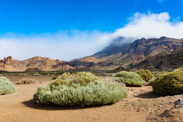 Plain in El Teide National Park Tenerife Hi Res.jpg
