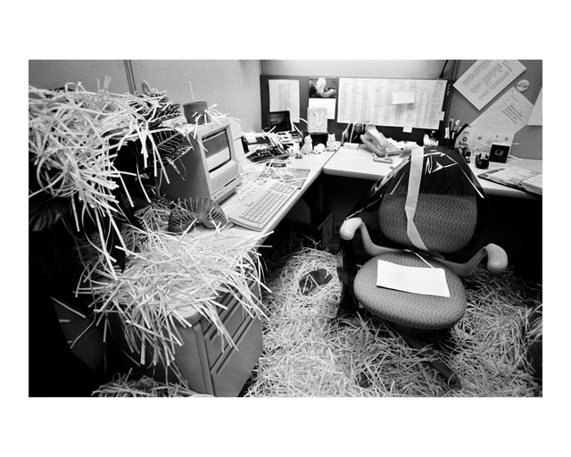 19 of 50_9123_02_SM_v3.1_DSI.jpg