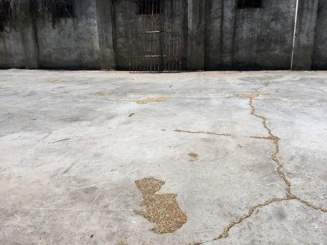 2018 - Fort Intemporal - Venice