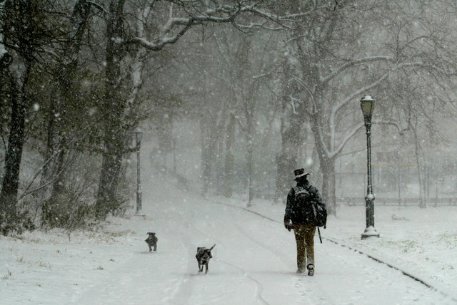 A Walk in the Park