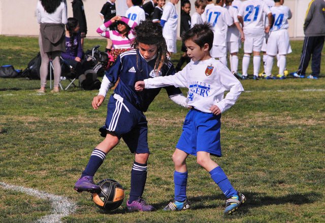 Lena_SMU2013-0859.jpg