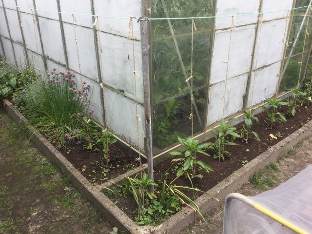 2016-06-11 10.23.45.jpg