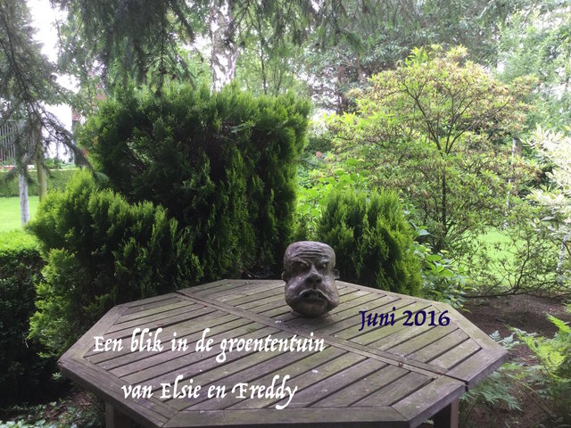 2016-06-11 10.31.38.jpg