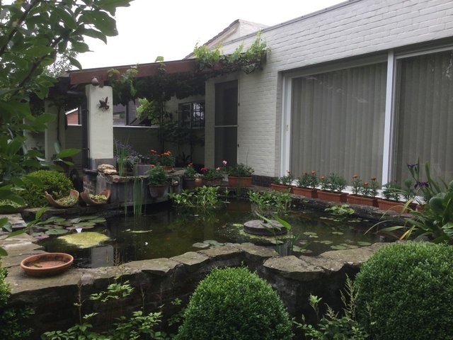 2016-06-11 10.33.45.jpg