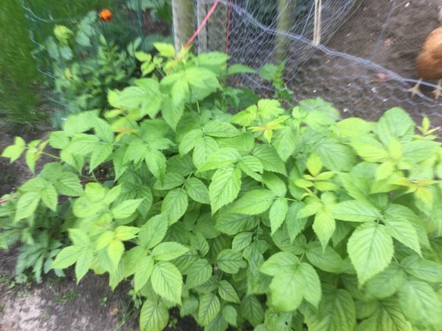2016-06-11 10.28.32.jpg