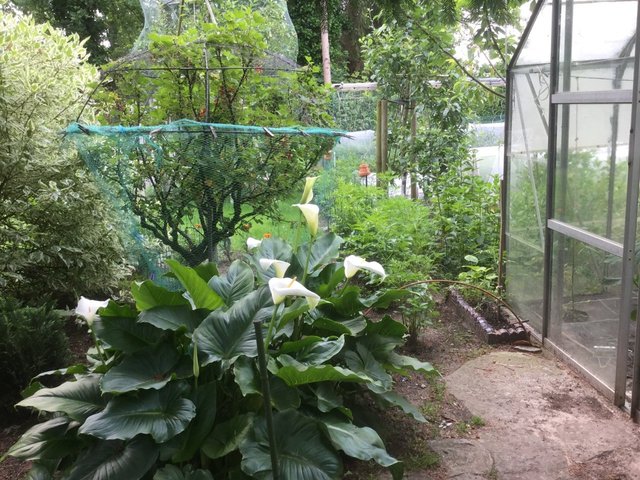2016-06-11 10.31.25.jpg