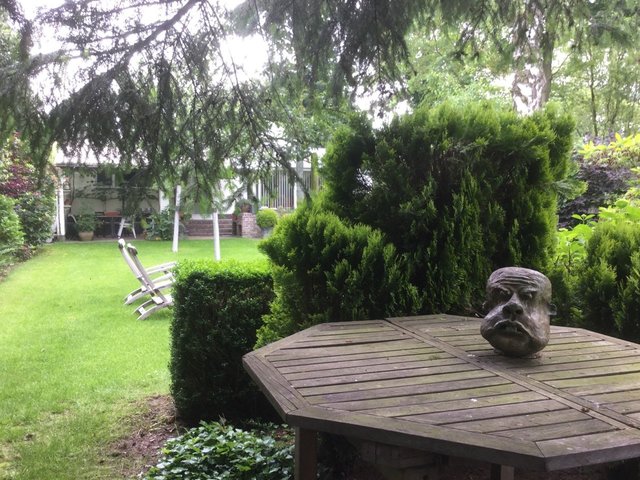 2016-06-11 10.31.57.jpg