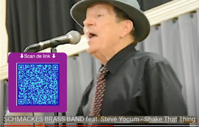 Steve Yocum - Shake That Thing (TI07R06link).png