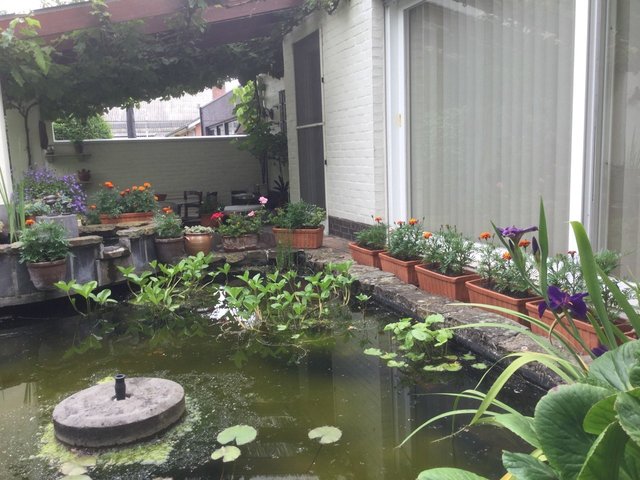 2016-06-11 10.34.43.jpg