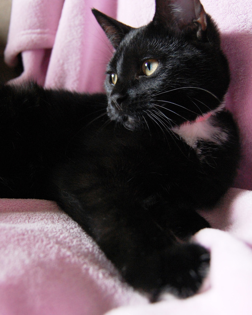 lilah8x10.jpg