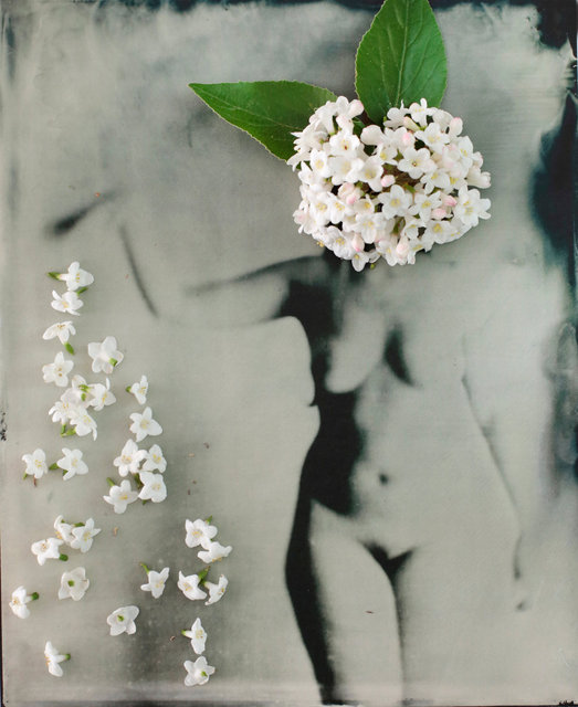 FLOWERS_1_011.JPG
