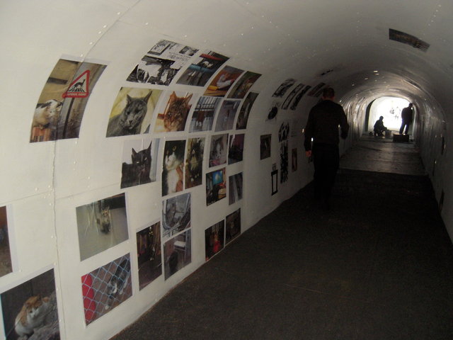 DSCN5908.JPG