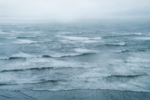 Sea of Gray