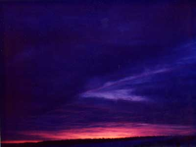 Violet Sunrise 4 by Alison Gracie