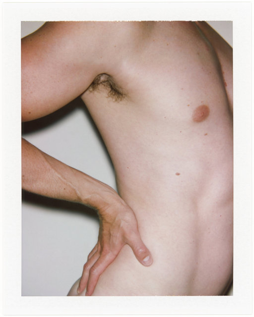 NATURAL LANDSCAPE VI / TODD