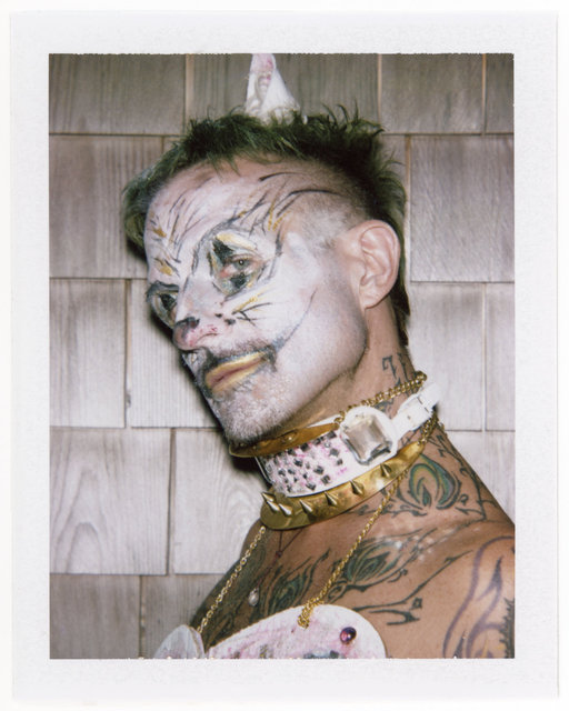 WHITE PUSSY