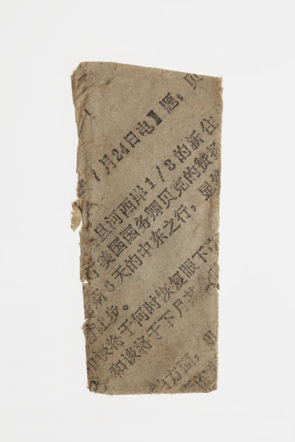 Vikkle Dragen inde - 0312