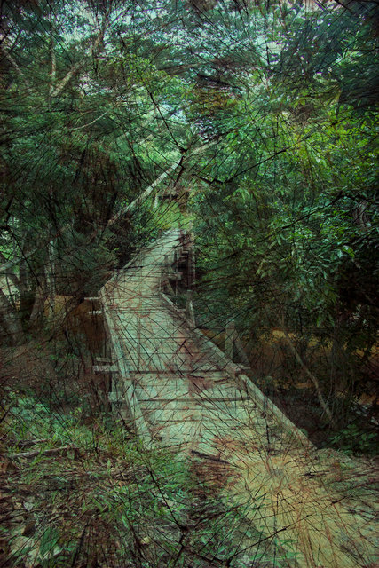 Ponte a Casa Santa - 2013