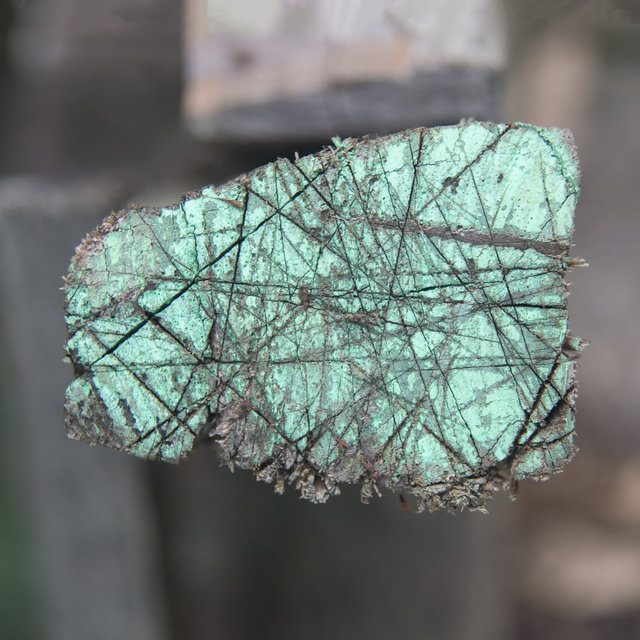 A Casa Santa X - 2013