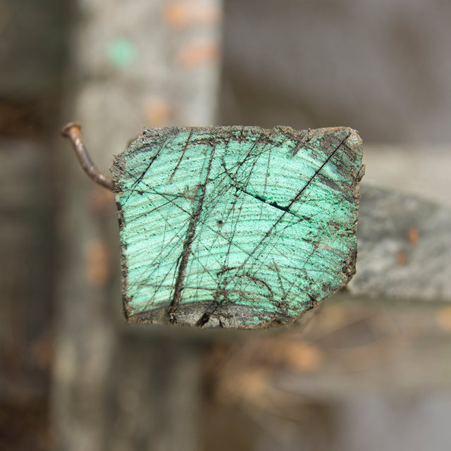 A Casa Santa XI - 2013