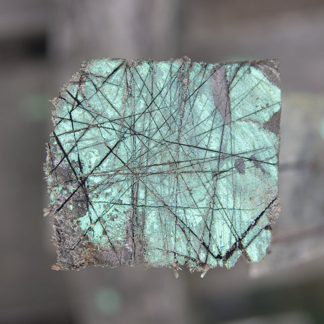 A Casa Santa XII - 2013