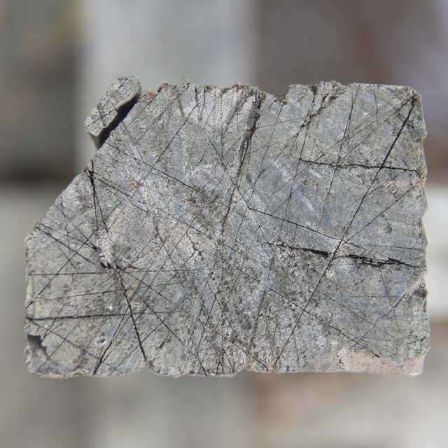 A Casa Santa VII - 2013