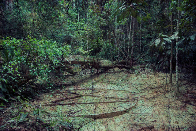 Circulo Infinito - 2013