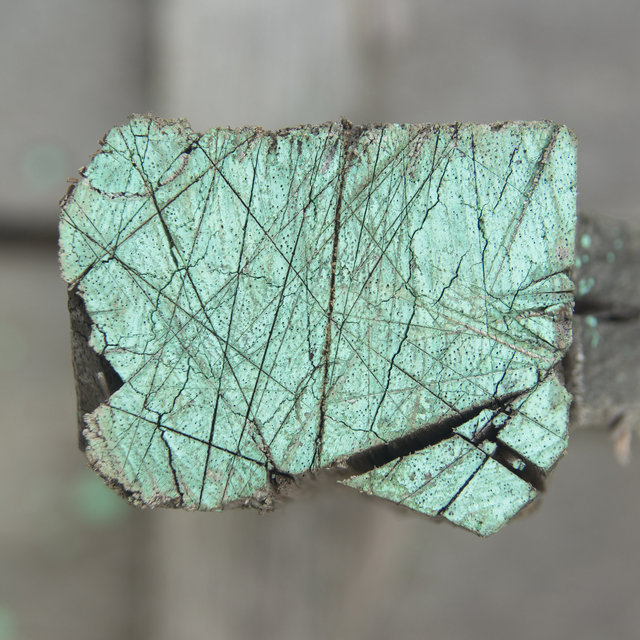 A Casa Santa I - 2013