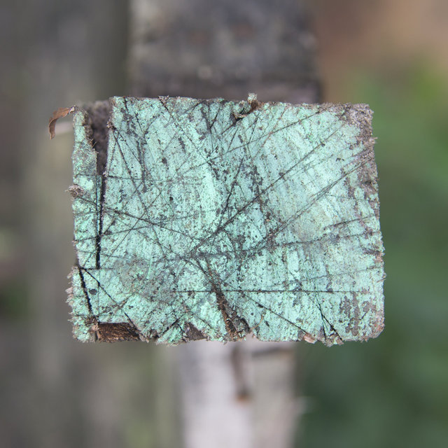 A Casa Santa V - 2013