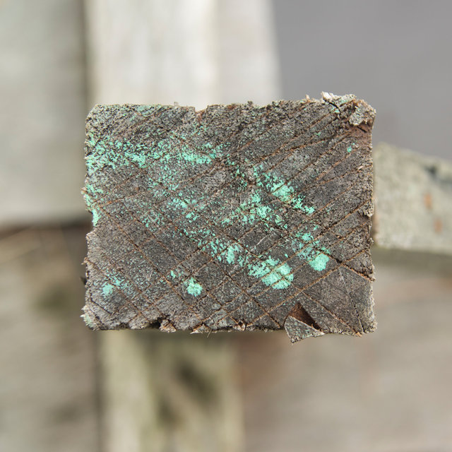 A Casa Santa III - 2013