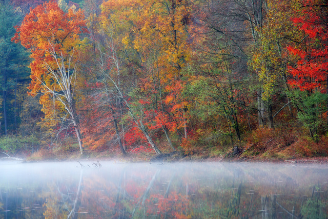 Autumn, Tar Hollow State Park, Ohio;