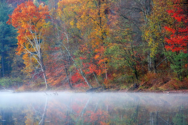 Autumn, Tar Hollow State Park, Ohio;