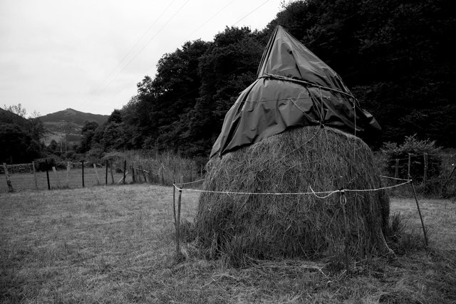 haystack b+w.jpg