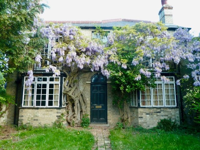 Grantchester Meadows, Cambridge 2016