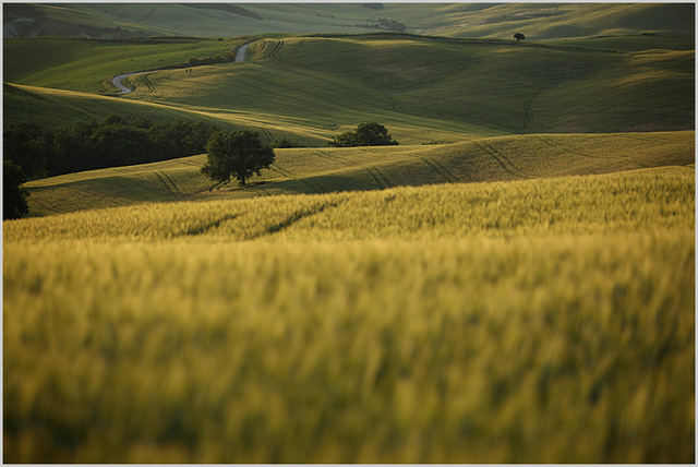 near pienza