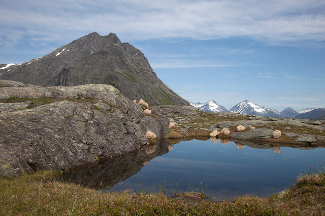 Installation woven of wood and rattan for 'Kunst i Natur* in Åndalsnes, Norway 2015