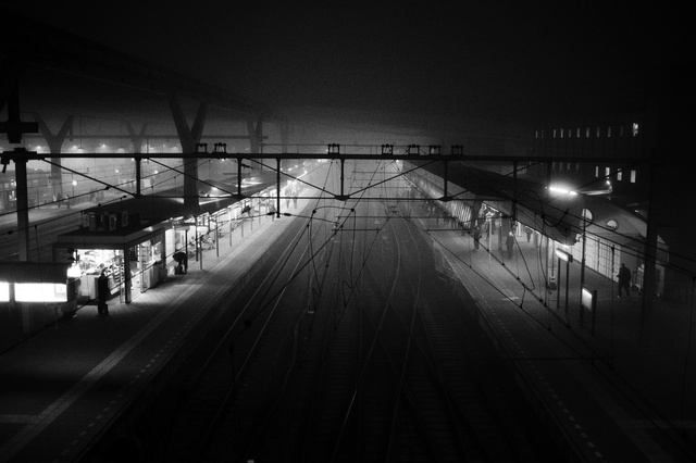 Fog in Rotterdam