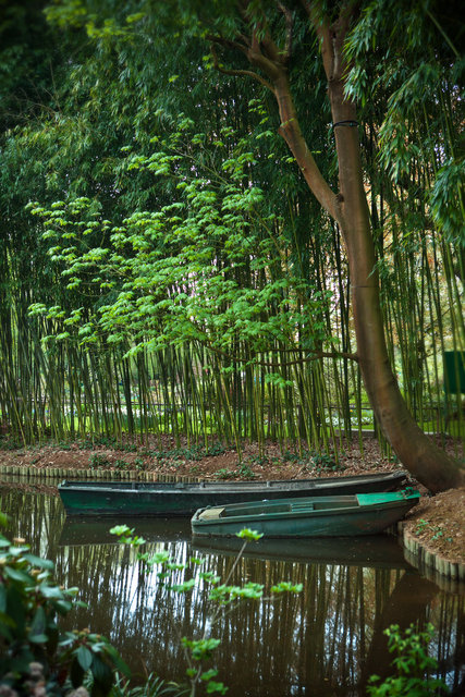 Water Garden