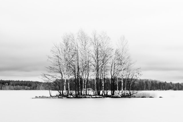 Island in Early Spring