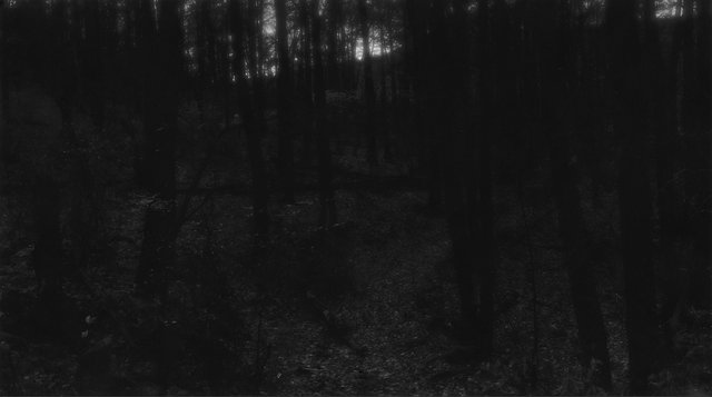 Movement #3
