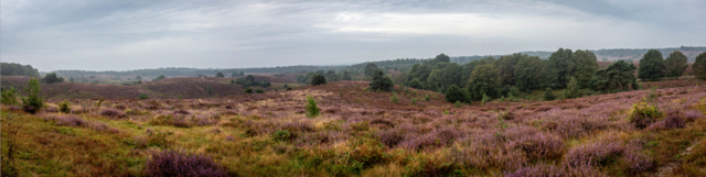 Schermafbeelding 2025-08-10 om 15.40.19.png