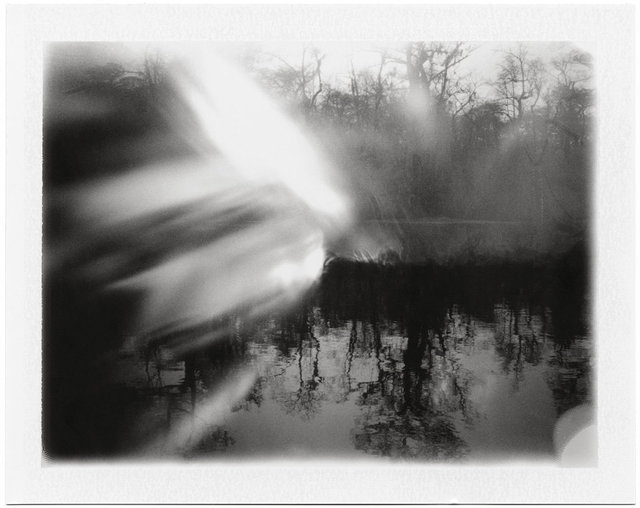 pinhole-ervin.jpg