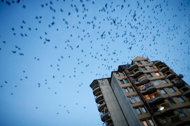 The independence of Kosovo