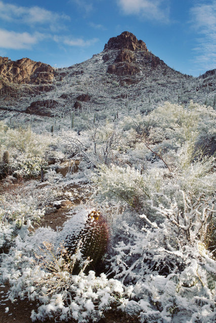 Snowy Gates Pass I