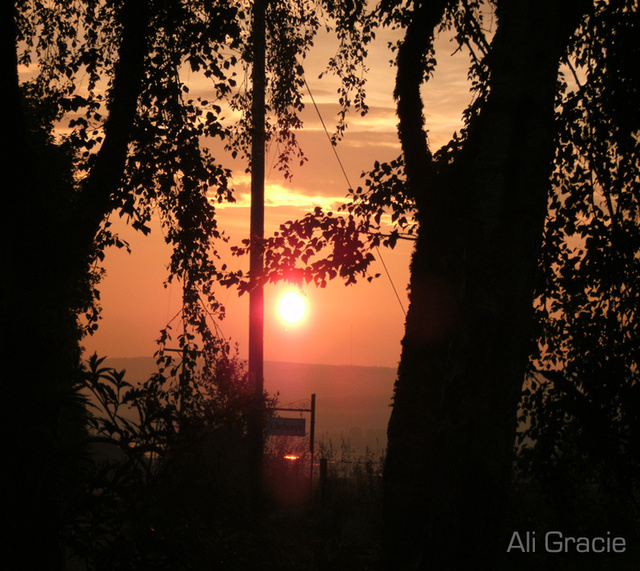 September Sunrise by Alison Gracie